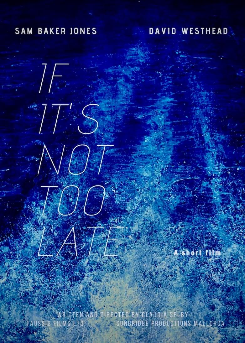 If It’s Not Too Late photo